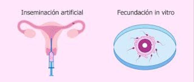 Se promulga la ley de reproducción asistida.