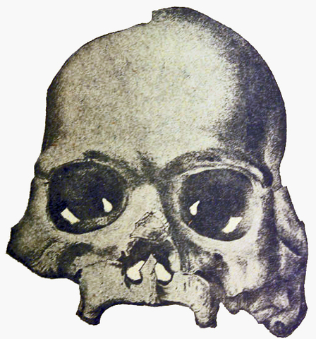 The Calaveras Skull