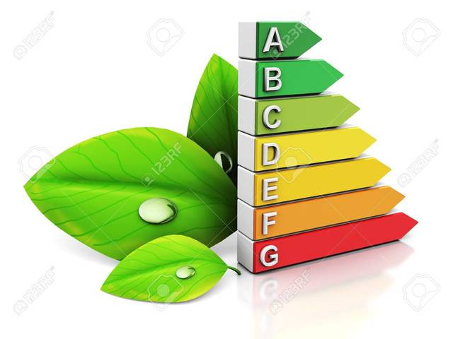 Niveles de clasificación aportados por Alfil Cohen