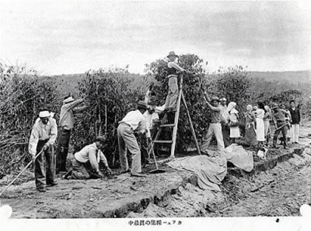 Começo da industrialização