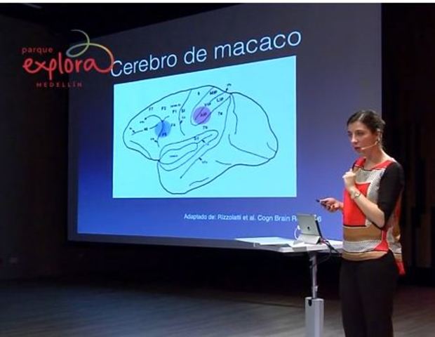 Actividad 3 Neuronas espejo ¿Por qué imitamos