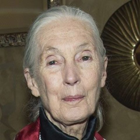 Jane Goodall Birth