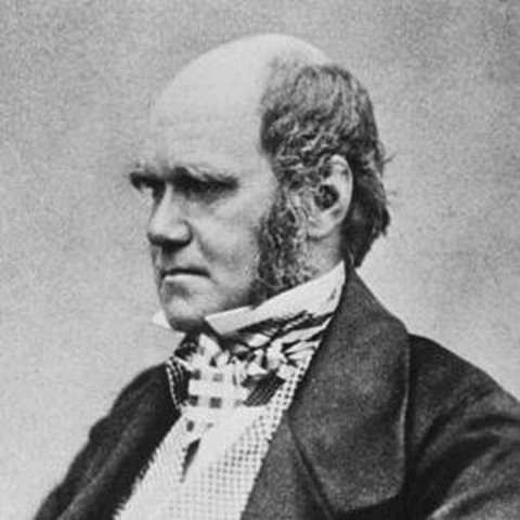 Charles Darwin Birth