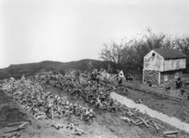 Battle of Gettysburg