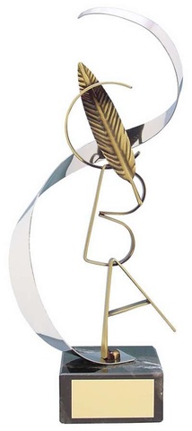 Gane un premio en el colegio por mejor ortografia