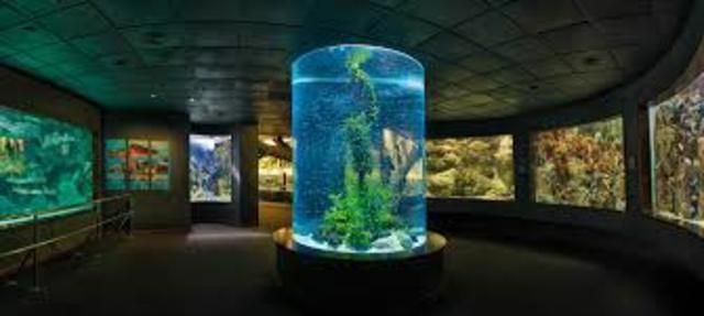 Conocí el parque Acuarios en el cumpleaños de mi hermano mayor