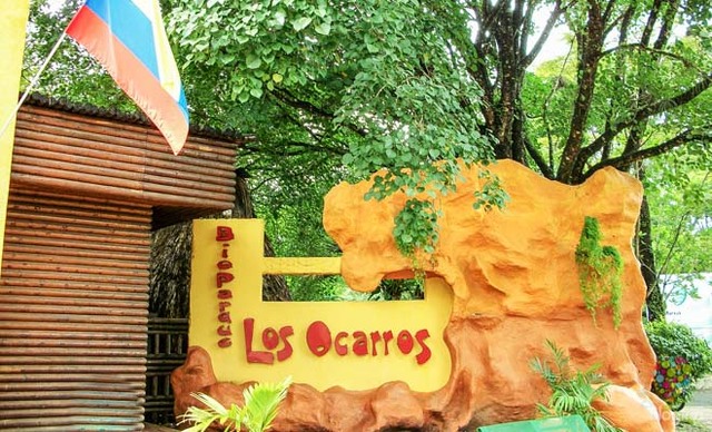 Realice mis horas sociales en el parque los Ocarros