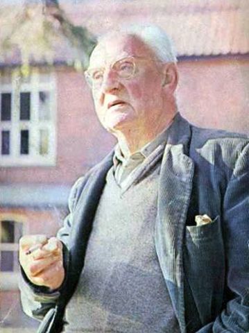 Alexander Neill noción de docente