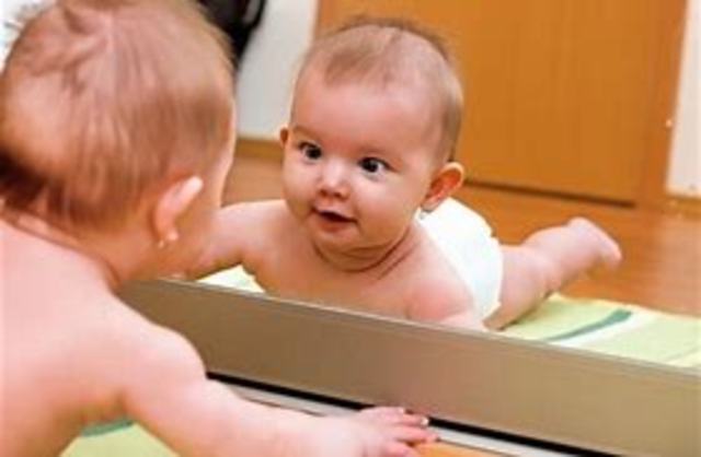 Noción de educación (Ausubel):