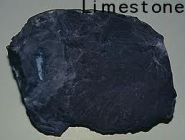 men sprinkle lime around the house.