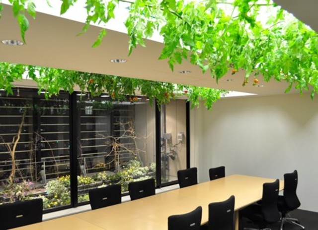 Creative construction of head quarters Pasona Group, Tokyo, Japan