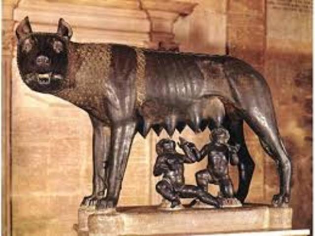 Roma-las acciones de ley