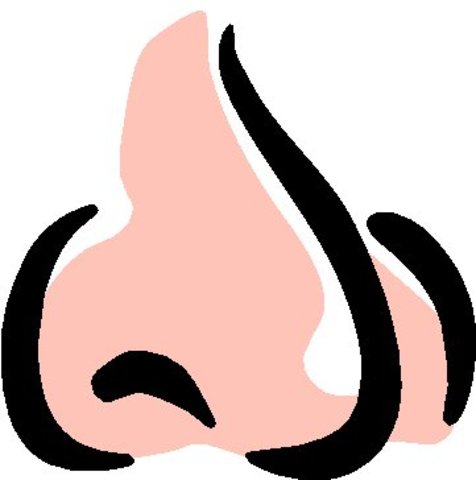 weird smell develops