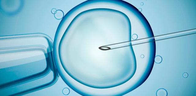 Reproducción Asistida