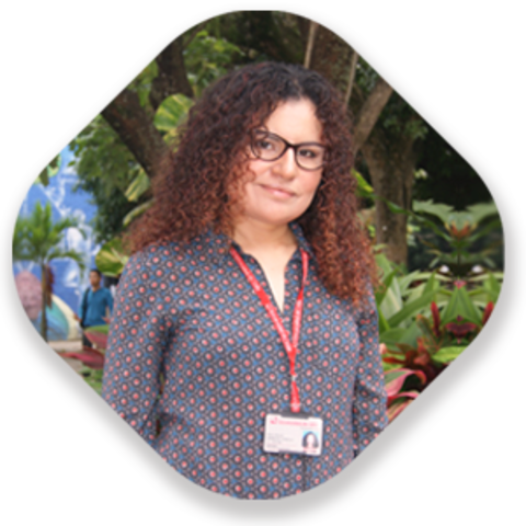 Paola Johanna Rodríguez Carrillo Ph.D.