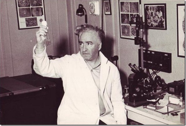 Wilhelm Reich y los acumuladores de orgón