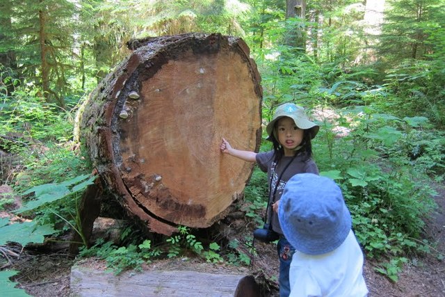 a (i don wanna say it again so...)