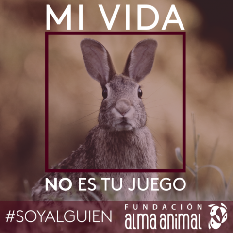 En contra de la caza