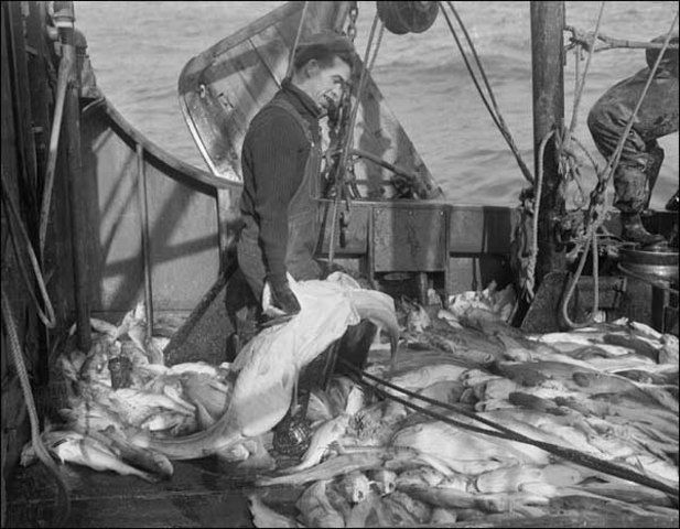 Shut down of fisheries (Newfoundland)