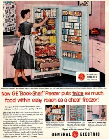 90% Of American Households had Freezers