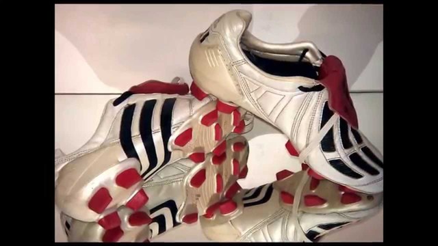 Cuarto modelo de chimpunes