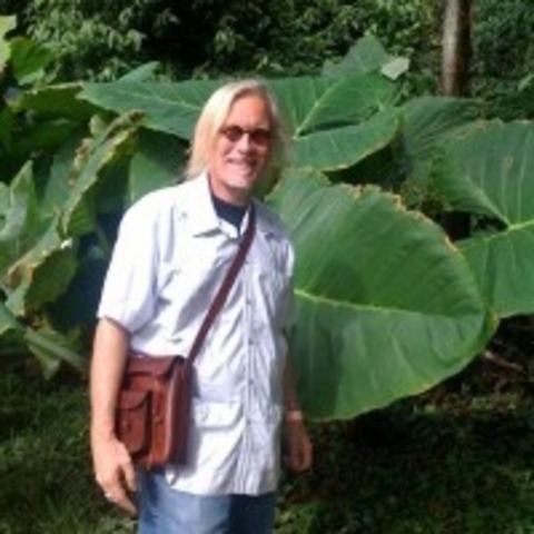 Noción de profesor de Peter Mclaren