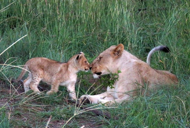 Fulbright in Botswana