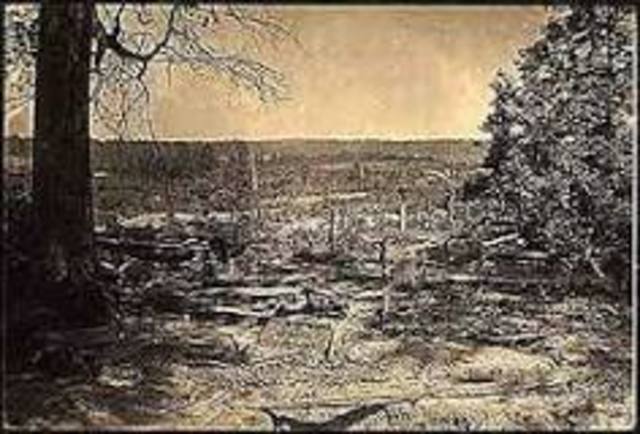 Battle of Peachtree Creek,