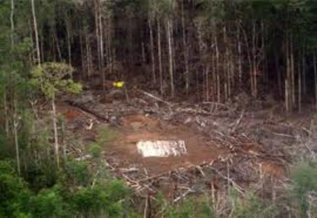 operación fénix 1 Marzo2008