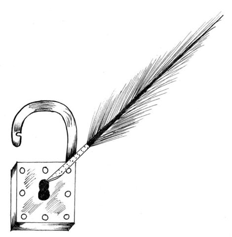 Programa institucional: La socialización es una subjetivación 1800-1970