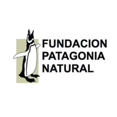 Primeros relevamientos de contaminación