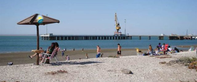 Plomo en organismos vivos