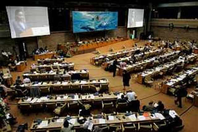 Cumbre de las Naciones Unidas 2006