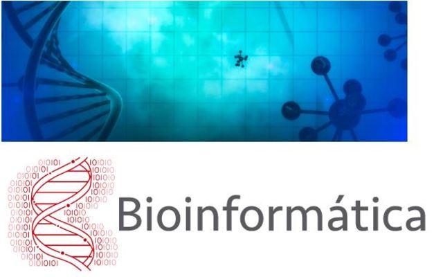 Grupo de investigación: Bioinformática