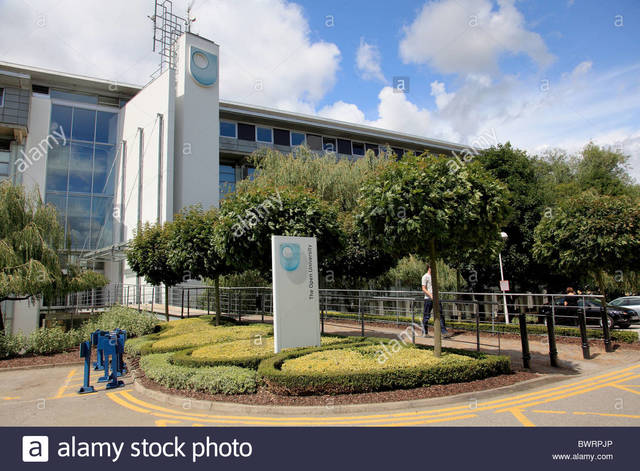 Mason, Pegler y Weller (2005)