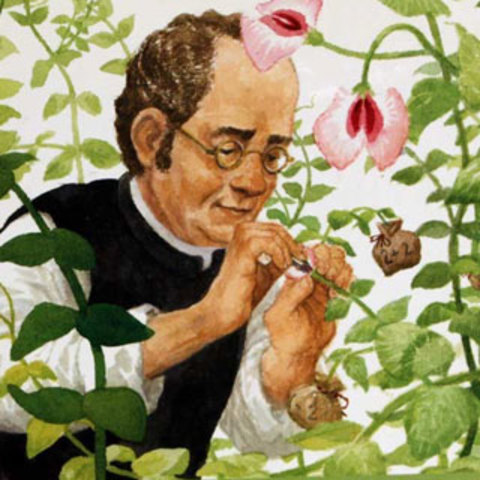 Gregor Mendel