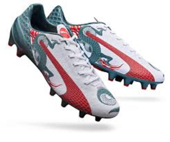 Puma evoSPEED Dragon