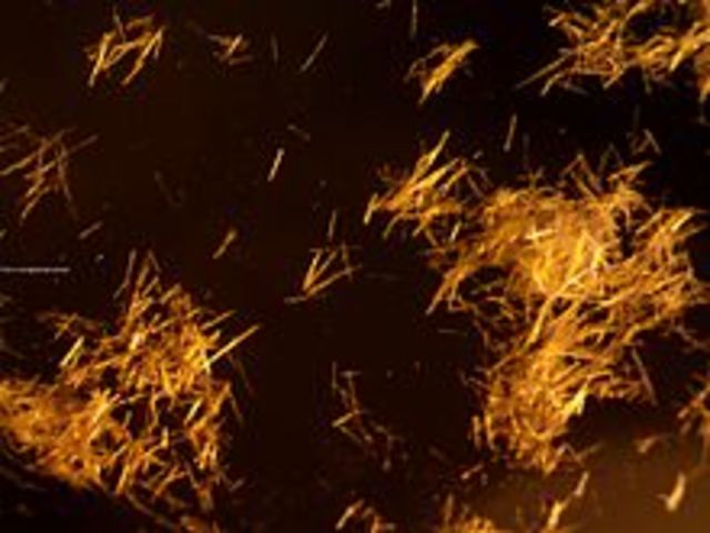 descubrimiento de los primeros isómeros