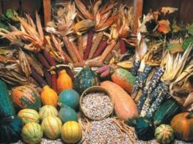 Llega a La Habana el primer barco con alimentos norteamericanos