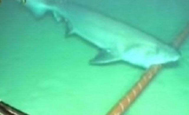 Conexión entre Argentina y Europa a través del telégrafo.