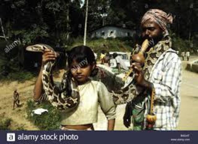 Why the island of snakes is forbidden to all?