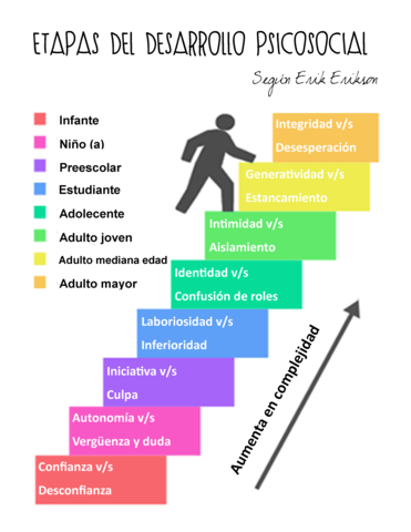 La teoría del desarrollo psicosocial de Erik Erikson
