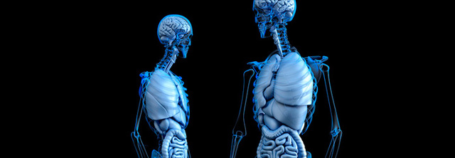 Laboratorio Bioinformática y Simulación Computacional