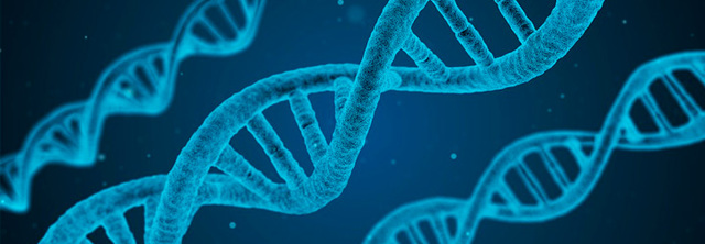 Laboratorio GEBIX(Genómica Y Bioinformática De Ambientes Extremos)