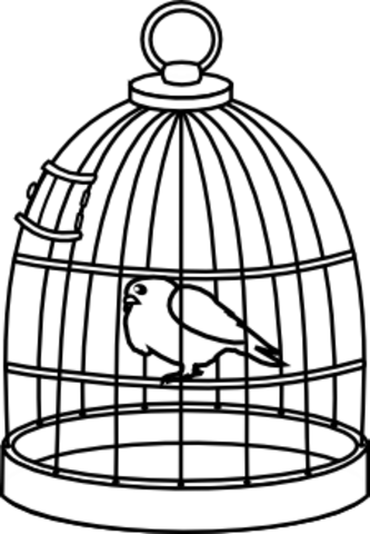 Nuevo olvido de la emoción