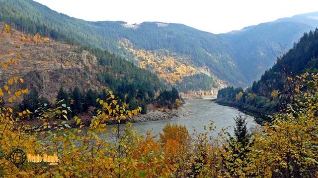 Fraser river