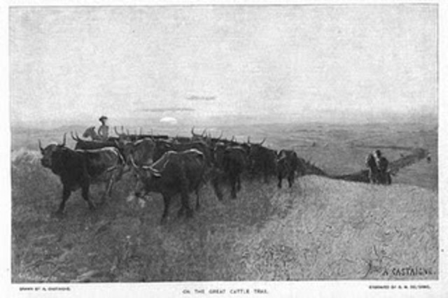 Texas Cattle Drives  begin