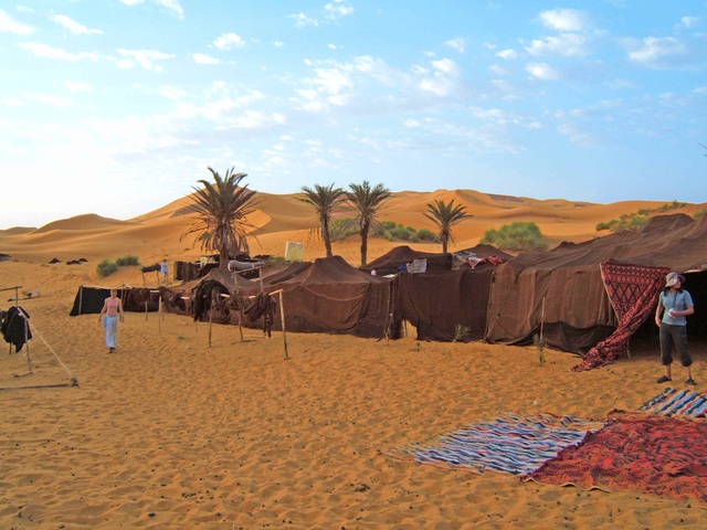 Arrival at the Oasis