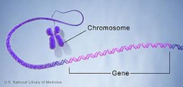 The Word Gene is Coined