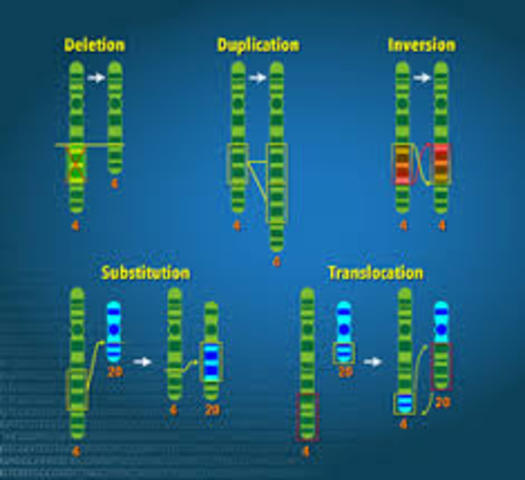 Chromosome Abnormalities Identified